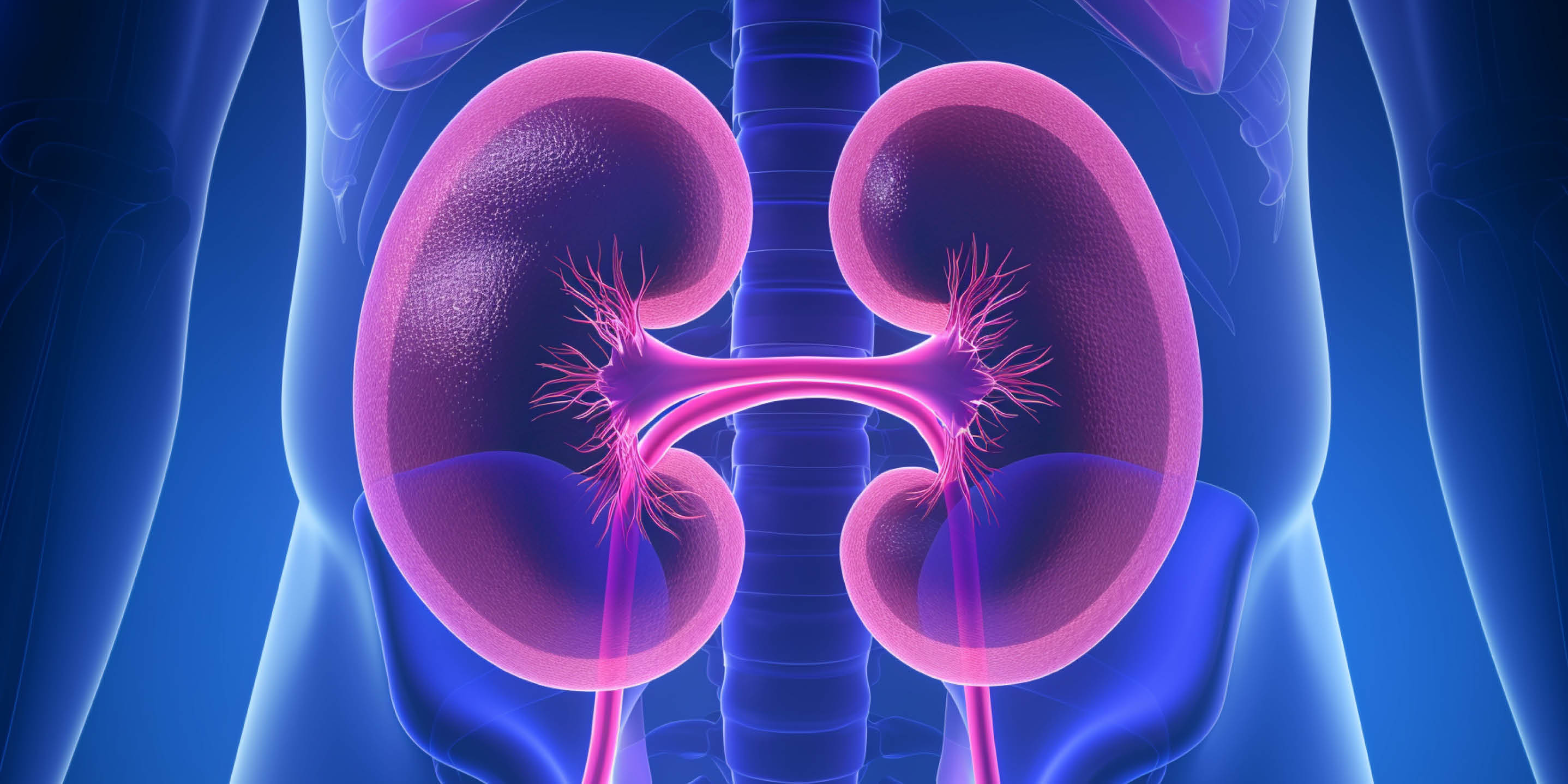 Nemocné ledviny nebolí! Zkontrolujte si pomocí laboratorního testu, zda vám fungují správně