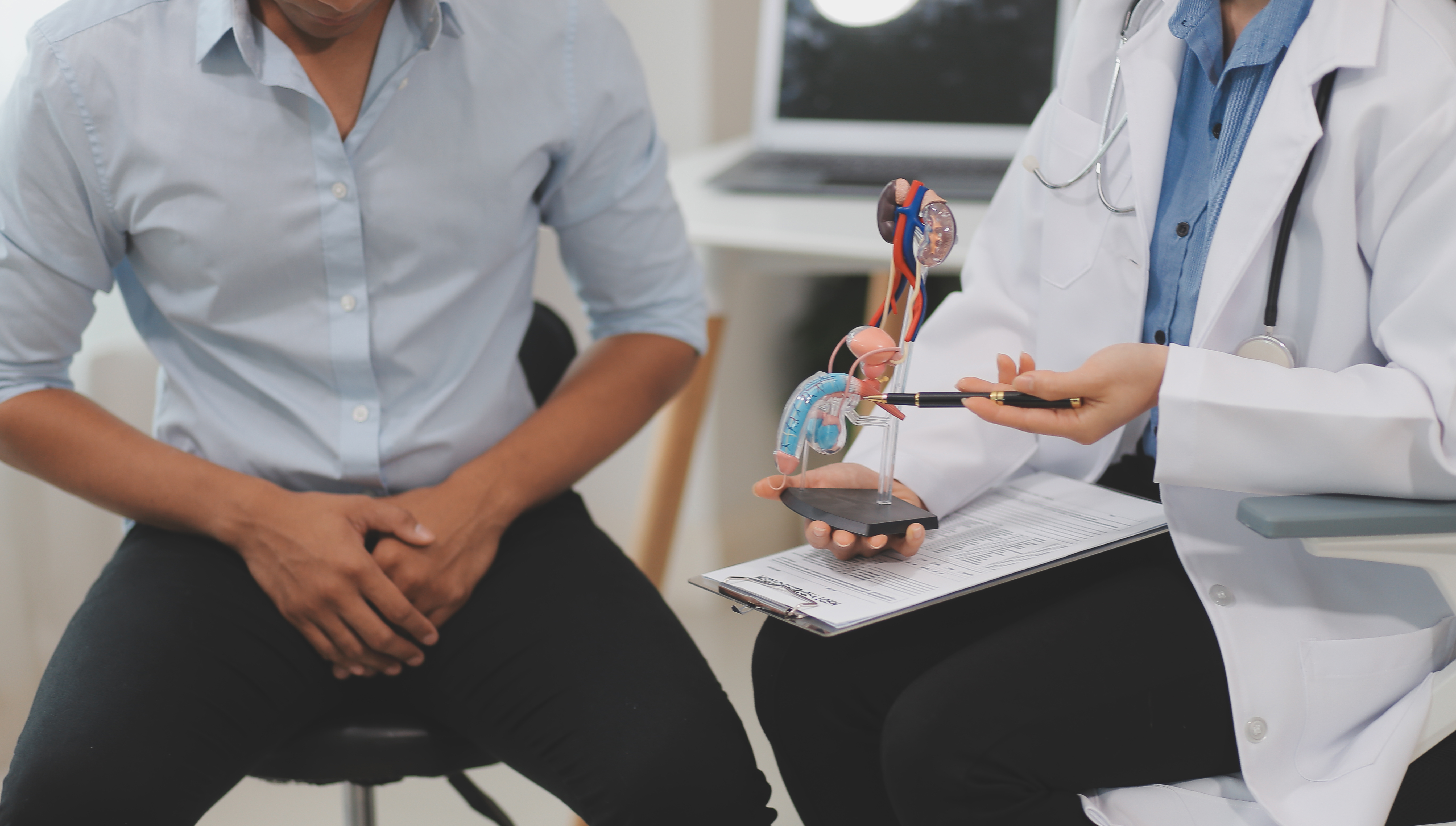 Prostata – funkce, onemocnění a prevence